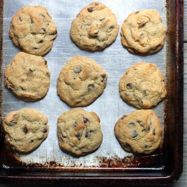 Baked chocolate chip cookies on a baking sheet.