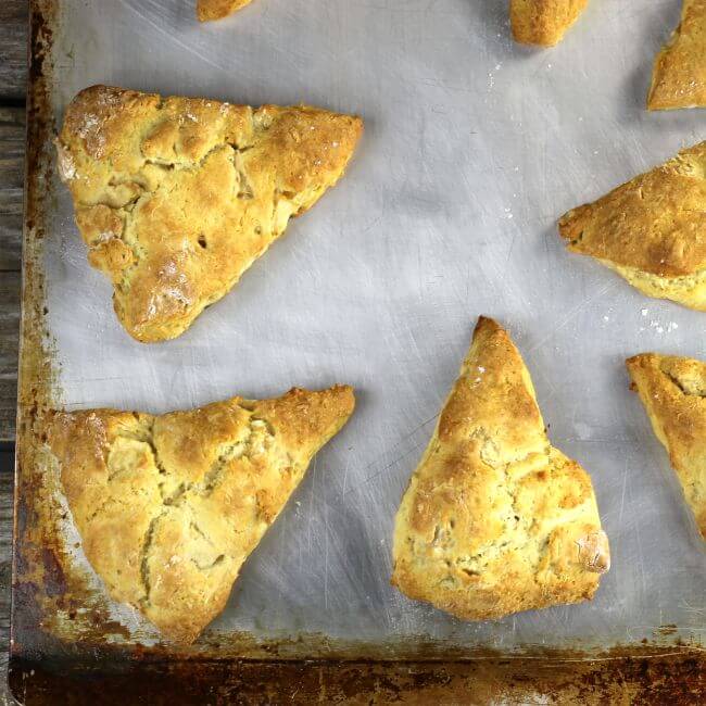 Baked sapple scones are on the baking sheet.