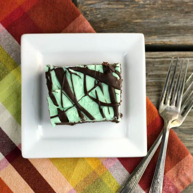 Fudge brownie with mint frosting and chocolate drizzle on a white plate.