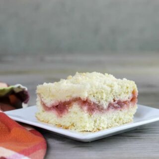 A side view of a piece of rhubarb strawberry coffee cake.