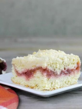 A side view of a piece of rhubarb strawberry coffee cake.