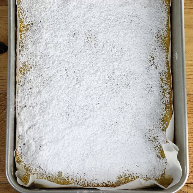 Powdered sugar is sprinkled over top of the bars.