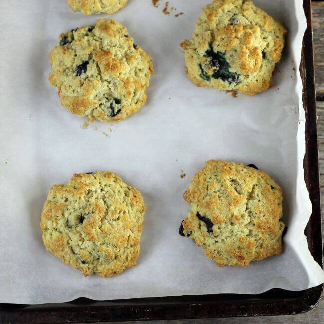 Baked Scones on a baking sheet.