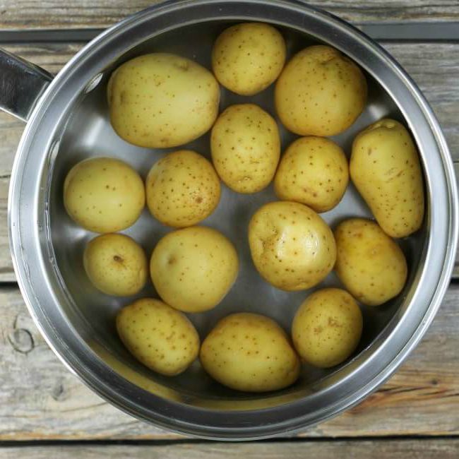 Baby potatoes in a saucepan coverd with water.