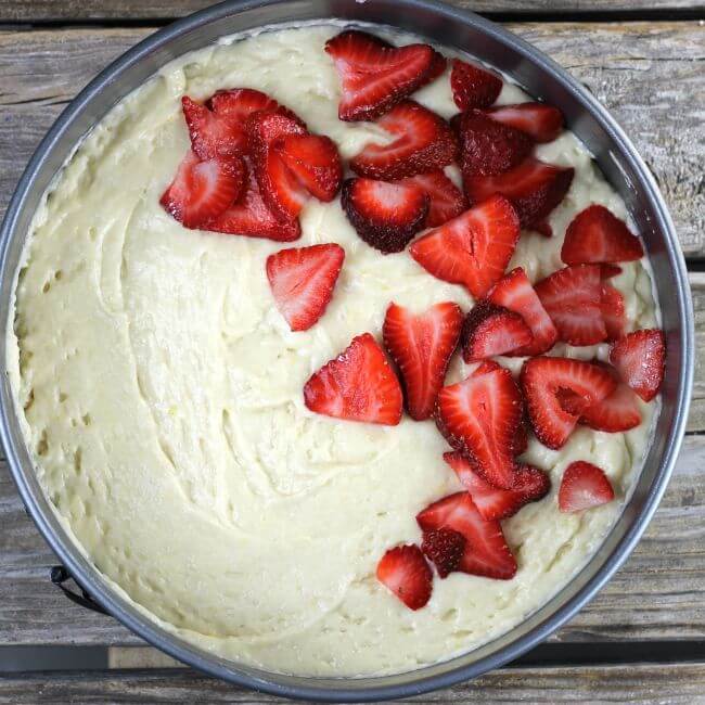 Batter is spread in the pan and topped with strawberries.