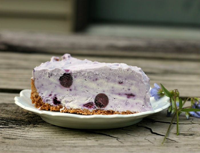 Frozen blueberry cheesecake