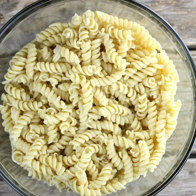 A Bowl full of rotini pasta.