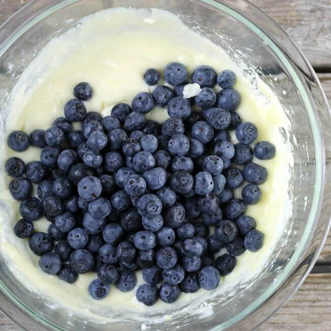 Blue berries on top of the filling.