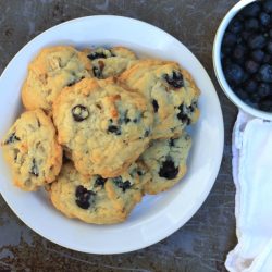 Blueberry coconut pecan cookies