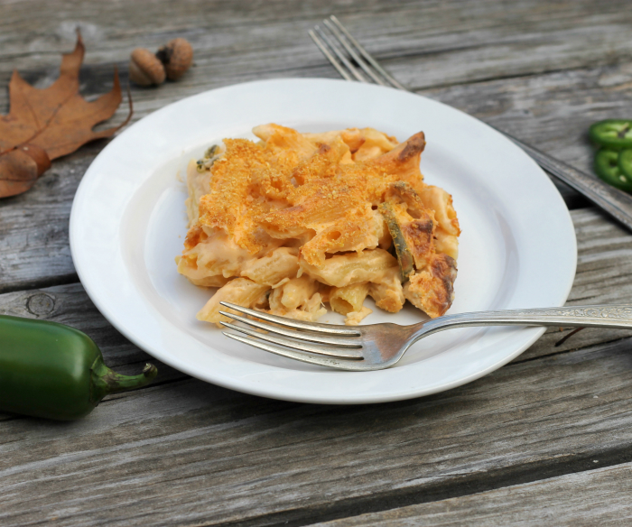 Jalapeno popper chicken casserole