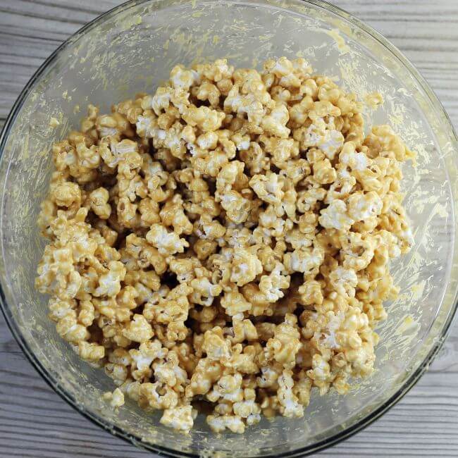 A bowl of peanut butter coated popcorn.