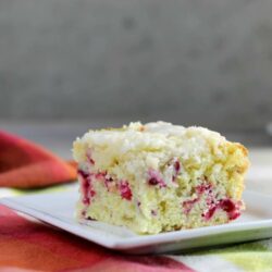 A close up of a side view of a piece of cranberry orange coffee cake