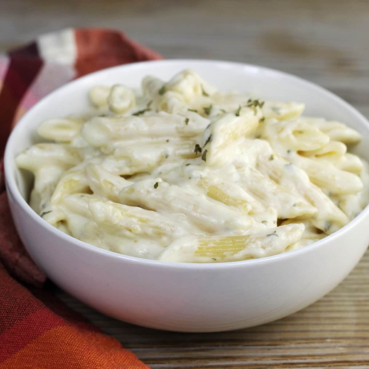 Side angle view of a bowl with cream pasta in it. 