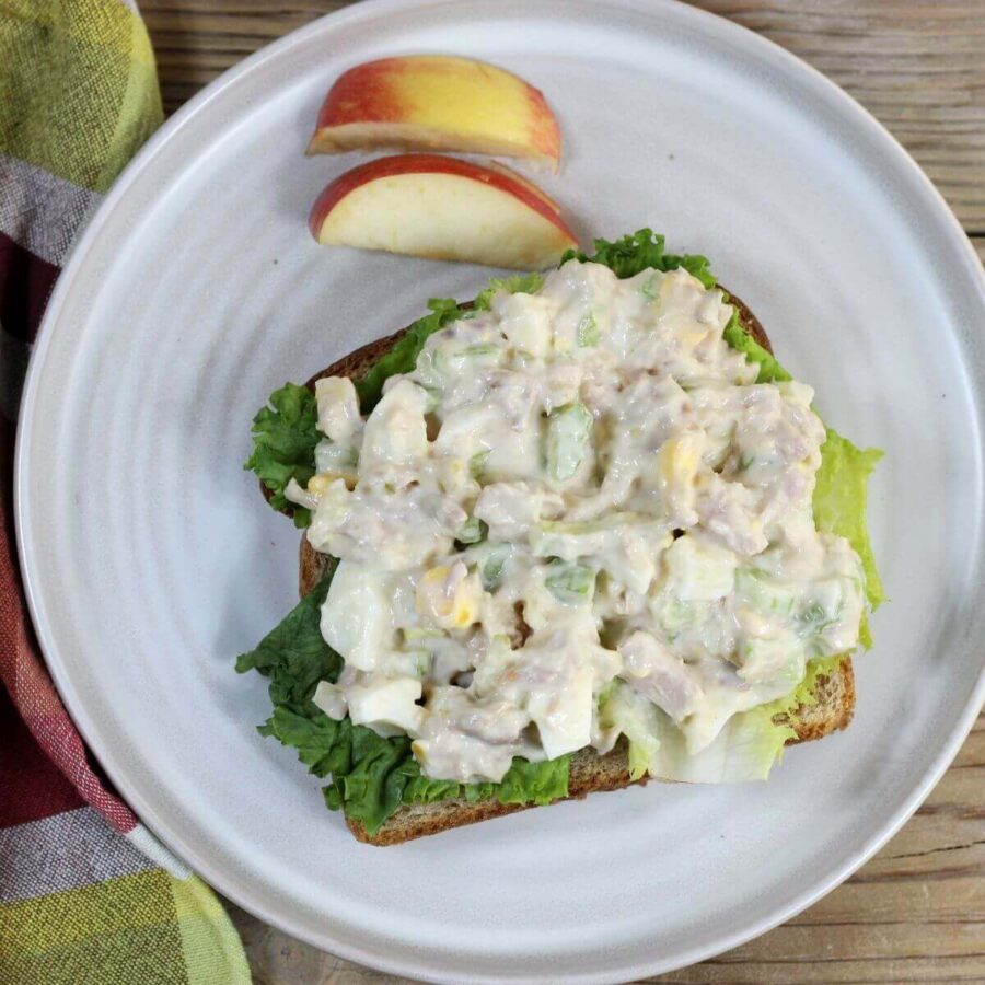 Looking down at a plate with a bread topped with lettuce and tuna salad with a side of apple slices.