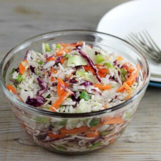 Side angle view of a bowl of coleslaw with plates on the side.