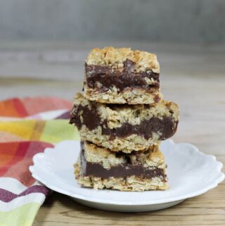 A side view of oatmeal fudge bars on a white plate.