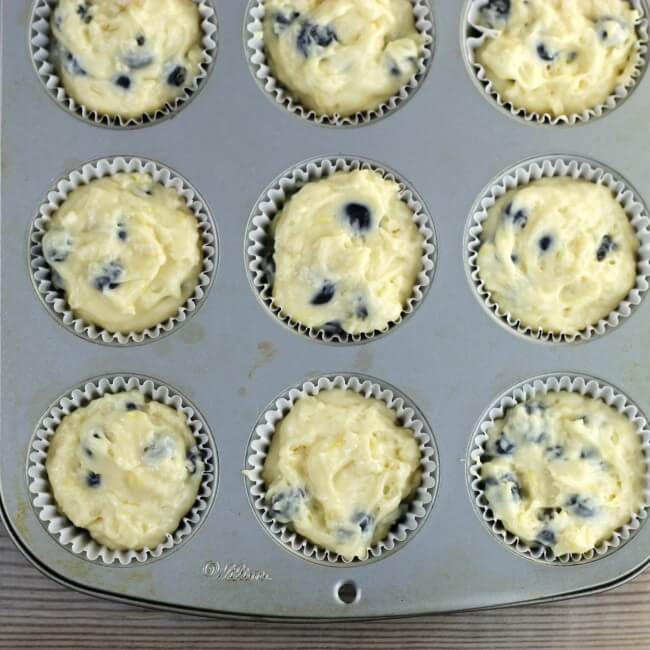 Blueberry muffin batter is put into the muffin tins.