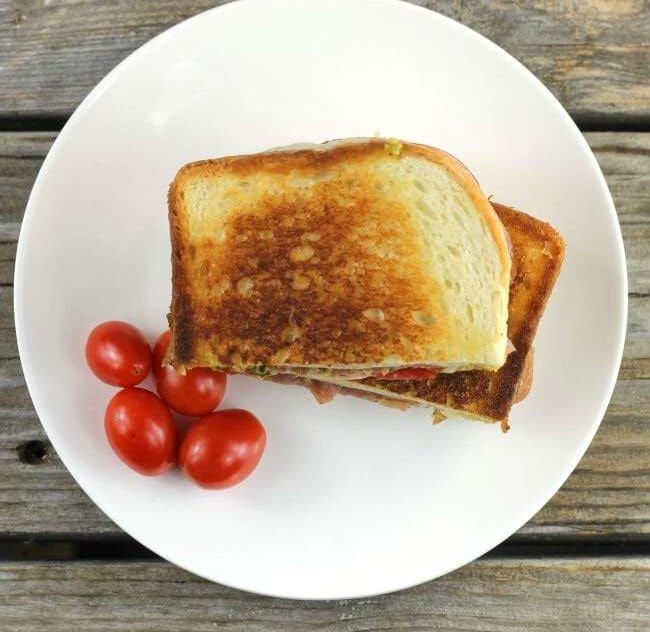 Pesto Grilled cheese on white plate with cherry tomatoes.