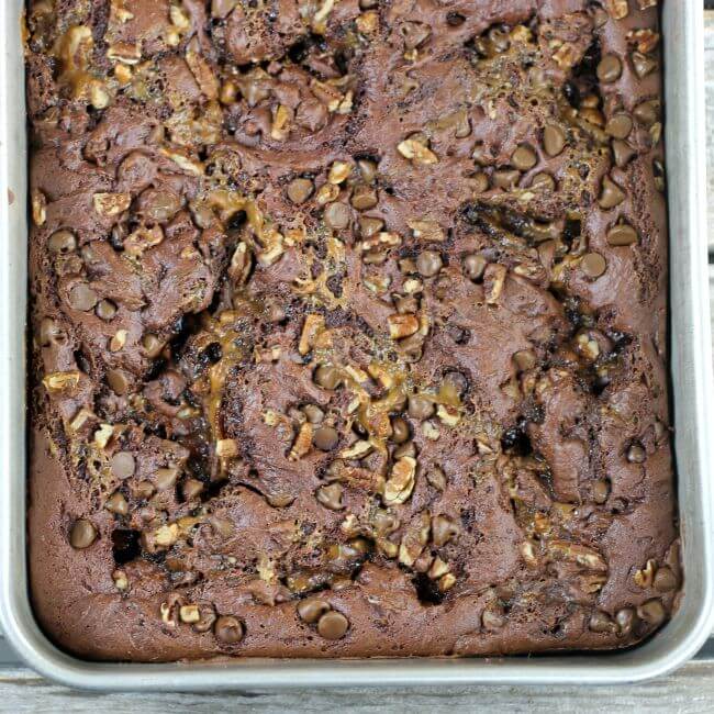 Baked turtle cake in a baking pan.
