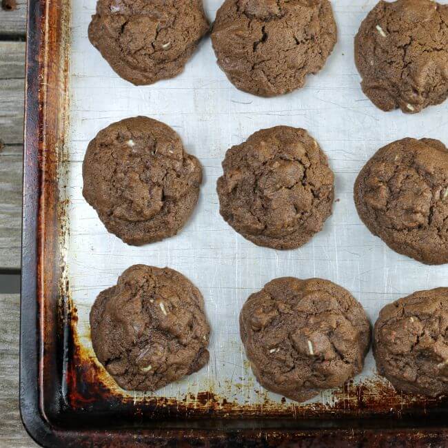 Baked chocolate mint cookies on a baking sheet.