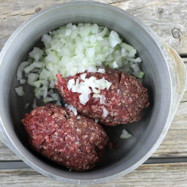 Hamburger and chopped onion in a Dutch oven.