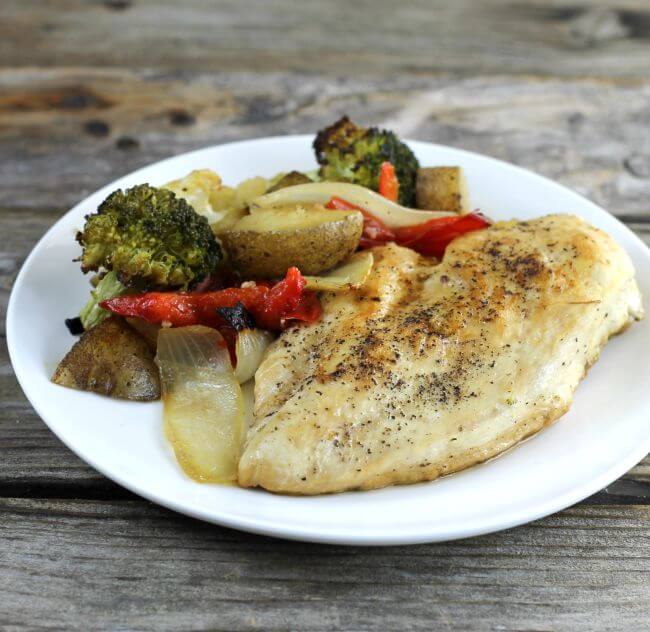 Chicken breast with roasted vegetables on a white plate.
